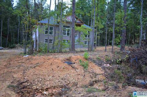 9965 Mize Rd, Remlap, AL 35133 photo 13