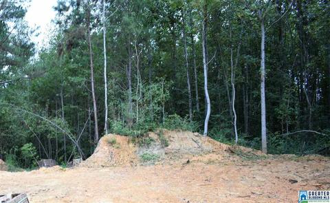 10003 Mize Rd, Remlap, AL 35133 photo 13
