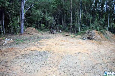 10003 Mize Rd, Remlap, AL 35133 photo 7