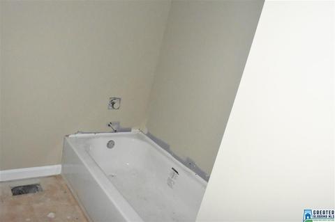 10003 Mize Rd, Remlap, AL 35133 photo 15
