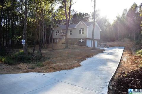 10003 Mize Rd, Remlap, AL 35133 photo 2