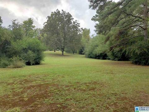 4620 Bryan Rd, Dora, AL 35062 photo 24