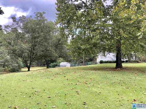 4620 Bryan Rd, Dora, AL 35062 photo 22