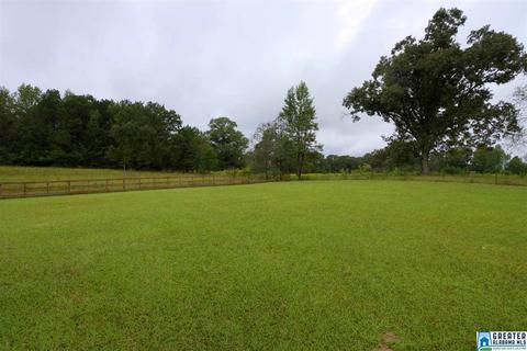 238 Clark Rd, Jasper, AL 35503 photo 17