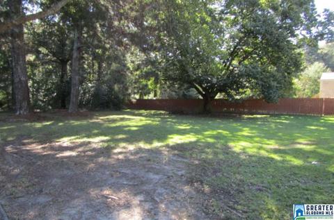 5389 Memory Ln, Mount Olive, AL 35117 photo 4