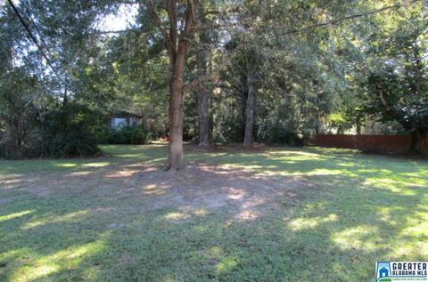 5389 Memory Ln, Mount Olive, AL 35117 photo 3