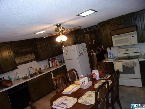 9183 Highway 269, Parrish, AL 35580 photo 11