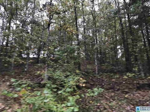 529 Macon Dr, Glencoe, AL 35905 photo 3