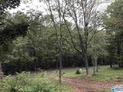 529 Macon Dr, Glencoe, AL 35905 photo 8