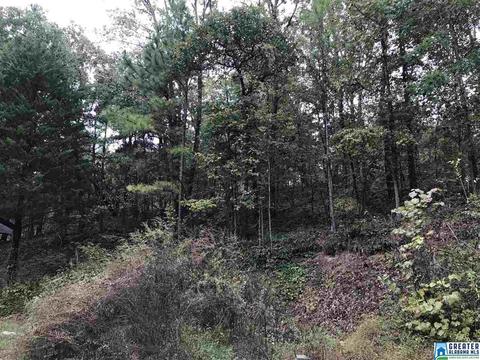 529 Macon Dr, Glencoe, AL 35905 photo 6