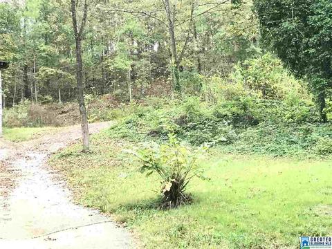 529 Macon Dr, Glencoe, AL 35905 photo 5