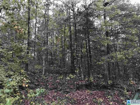 529 Macon Dr, Glencoe, AL 35905 photo 4