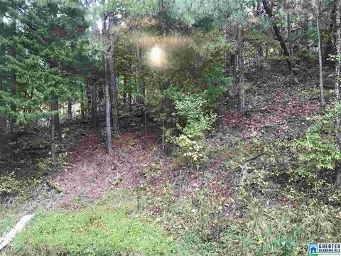 529 Macon Dr, Glencoe, AL 35905 photo 35