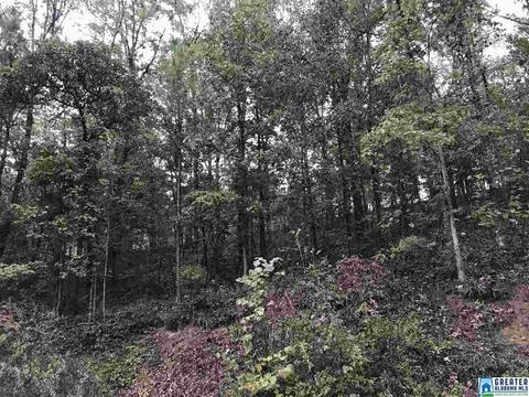 529 Macon Dr, Glencoe, AL 35905 photo 7