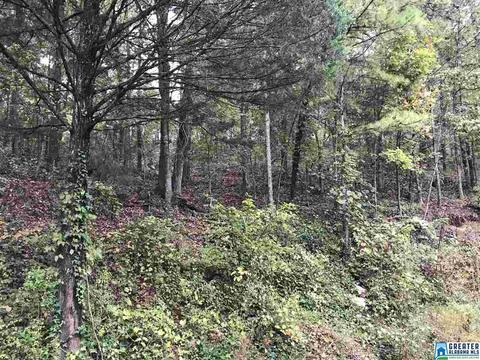 529 Macon Dr, Glencoe, AL 35905 photo 31