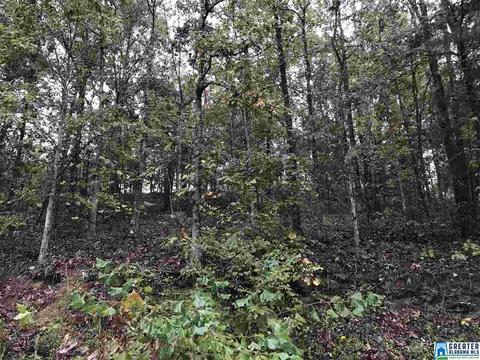 529 Macon Dr, Glencoe, AL 35905 photo 34