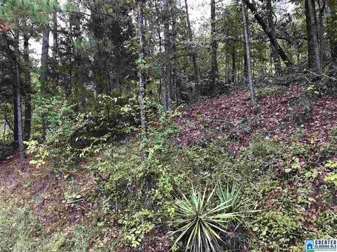 529 Macon Dr, Glencoe, AL 35905 photo 32