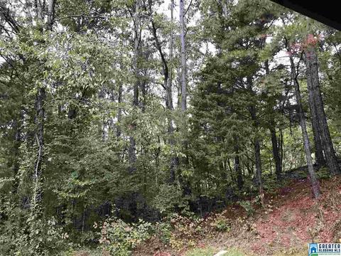 529 Macon Dr, Glencoe, AL 35905 photo 33