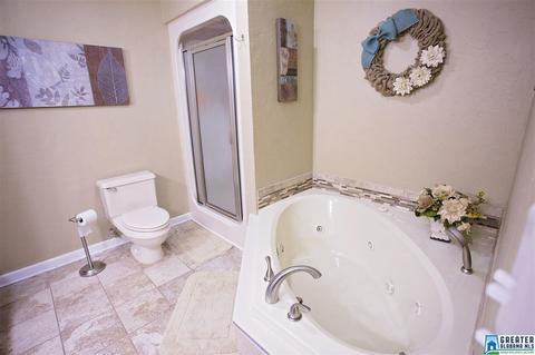 6031 Springview Dr, Mount Olive, AL 35117 photo 19