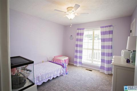 6031 Springview Dr, Mount Olive, AL 35117 photo 15