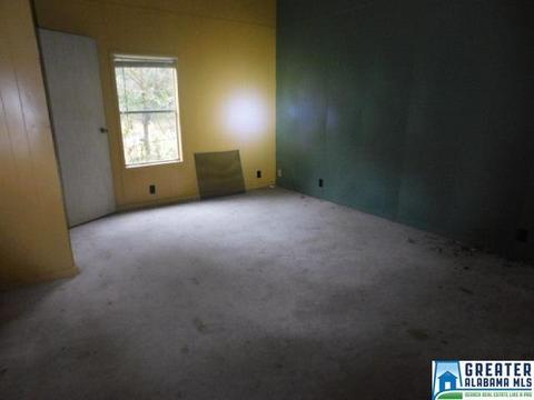 231 New River Rd, Eldridge, AL 35554 photo 4
