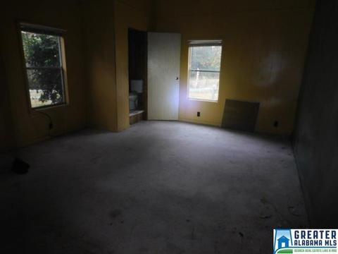 231 New River Rd, Eldridge, AL 35554 photo 2