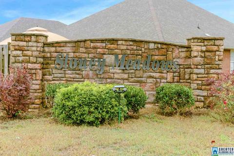 320 Stoney Trl, Maylene, AL 35114 photo 32