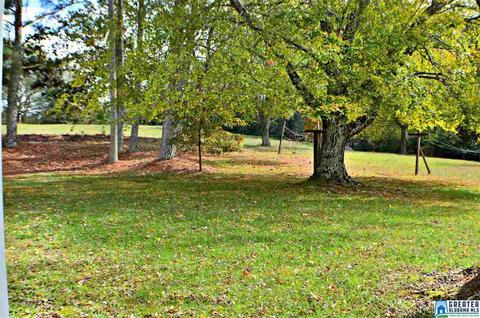 4157 Highway 55 E, Eva, AL 35621 photo 21