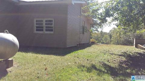 110 County Road 466, Clanton, AL 35045 photo 18