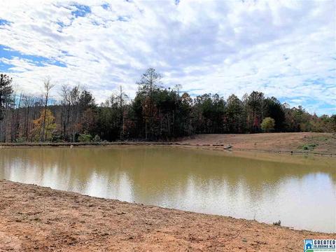345 County Road 247, Fruithurst, AL 36262 photo 3