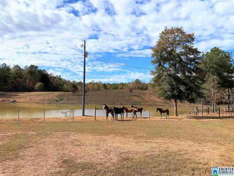 345 County Road 247, Fruithurst, AL 36262 photo 5
