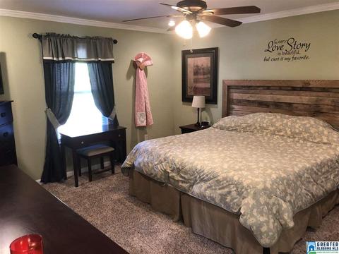 20818 Sandy Dr, Mc Calla, AL 35111 photo 19