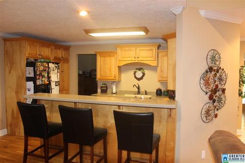 485 Co Rd 436, Fruithurst, AL 36262 photo 5