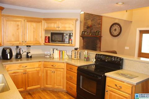 485 Co Rd 436, Fruithurst, AL 36262 photo 4