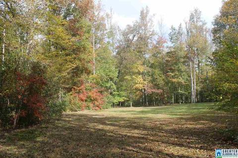 485 Co Rd 436, Fruithurst, AL 36262 photo 36
