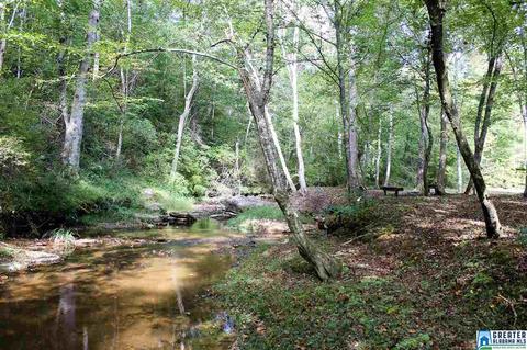 485 Co Rd 436, Fruithurst, AL 36262 photo 35