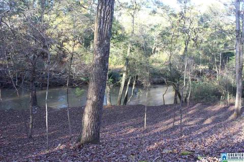 72 Bluegrass Dr, Jasper, AL 35503 photo 9