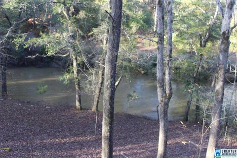 72 Bluegrass Dr, Jasper, AL 35503 photo 11