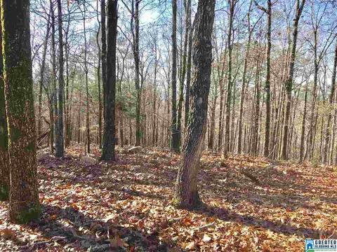 141 Forest Ridge Rd, Maylene, AL 35114 photo 29
