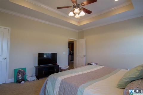 2859 Yellowleaf Rd, Clanton, AL 35045 photo 33