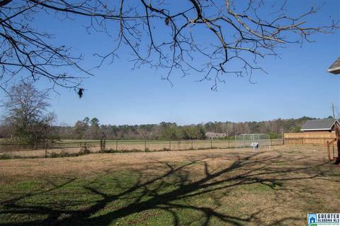 2859 Yellowleaf Rd, Clanton, AL 35045 photo 40