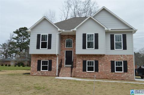 8319 3rd Ave, Morris, AL 35116 photo 38