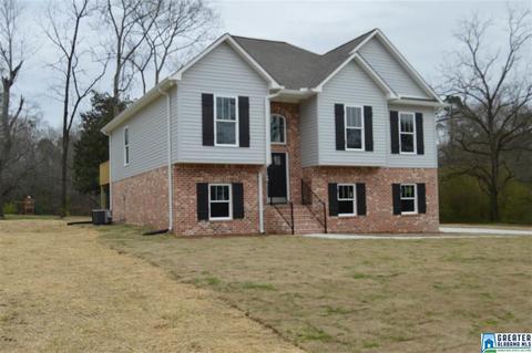 8319 3rd Ave, Morris, AL 35116 photo 39