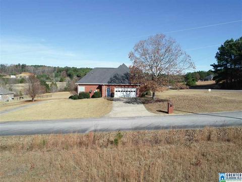 20 Crystal Ln, Dora, AL 35062 photo 47