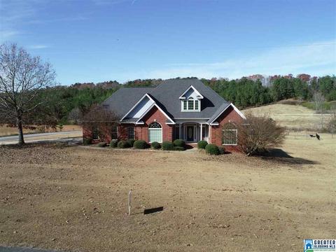 20 Crystal Ln, Dora, AL 35062 photo 45