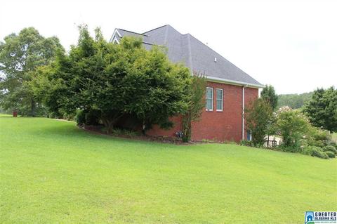 20 Crystal Ln, Dora, AL 35062 photo 4