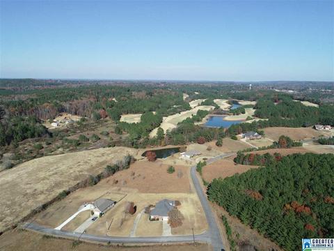 20 Crystal Ln, Dora, AL 35062 photo 49