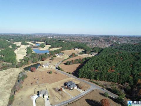 20 Crystal Ln, Dora, AL 35062 photo 48