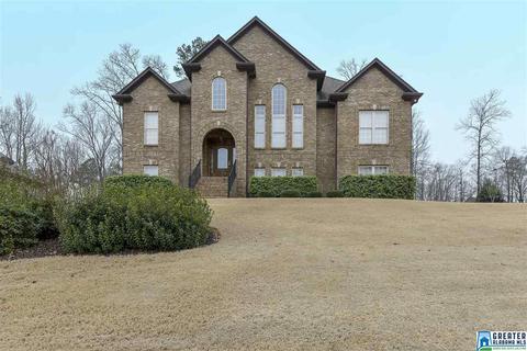 22530 Iron Masters Loop, Mc Calla, AL 35111 photo 1