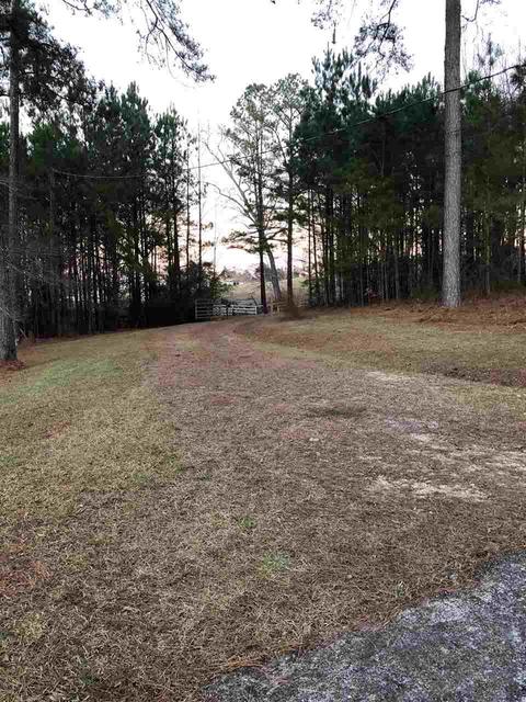 1222 Mccay Rd, Locust Fork, AL 35097 photo 19